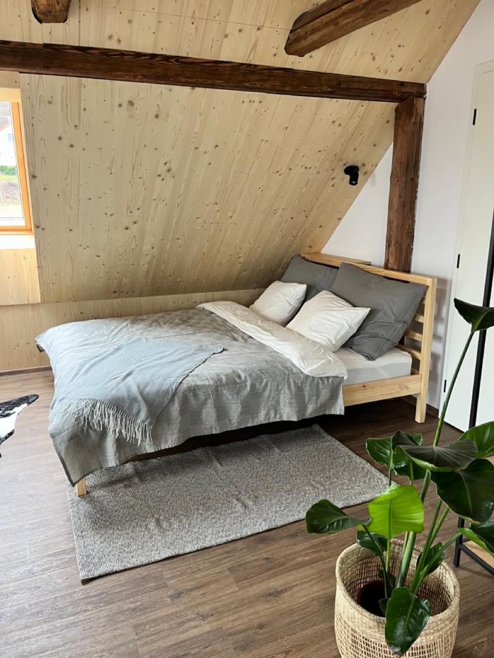 Sanky Apartmany Liberec Luaran gambar